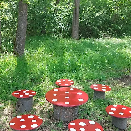 Vrganj アパート Sarani