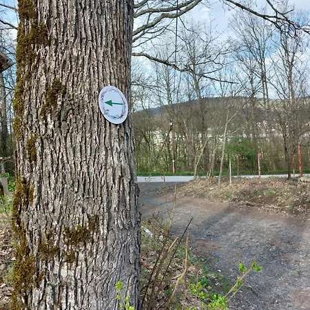 Vrganj アパート *