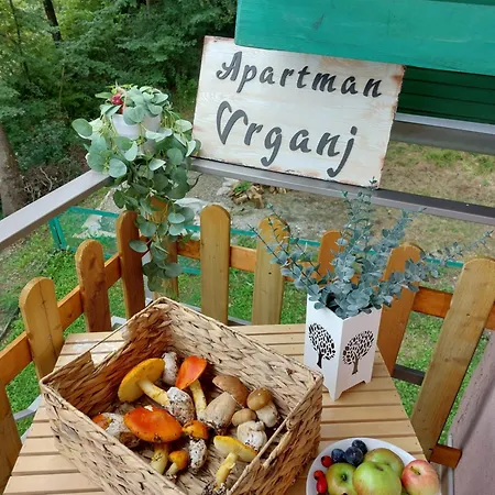 Vrganj アパート