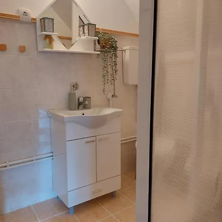 Vrganj アパート *