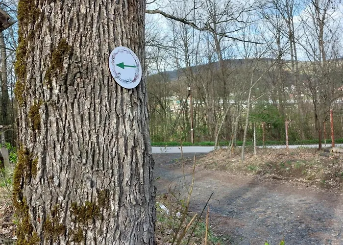 Vrganj Апартаменты *